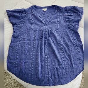 J. Jill Blue Smocked Blouse